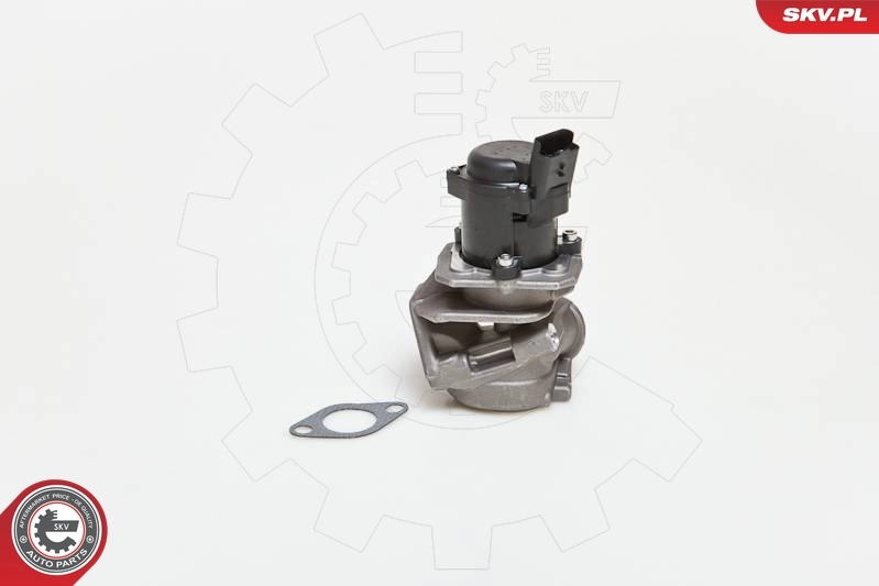 EGR Valve